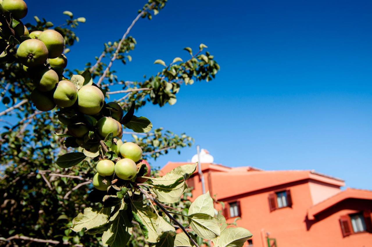 Finca El Pastel Guest House Tacoronte Exterior foto